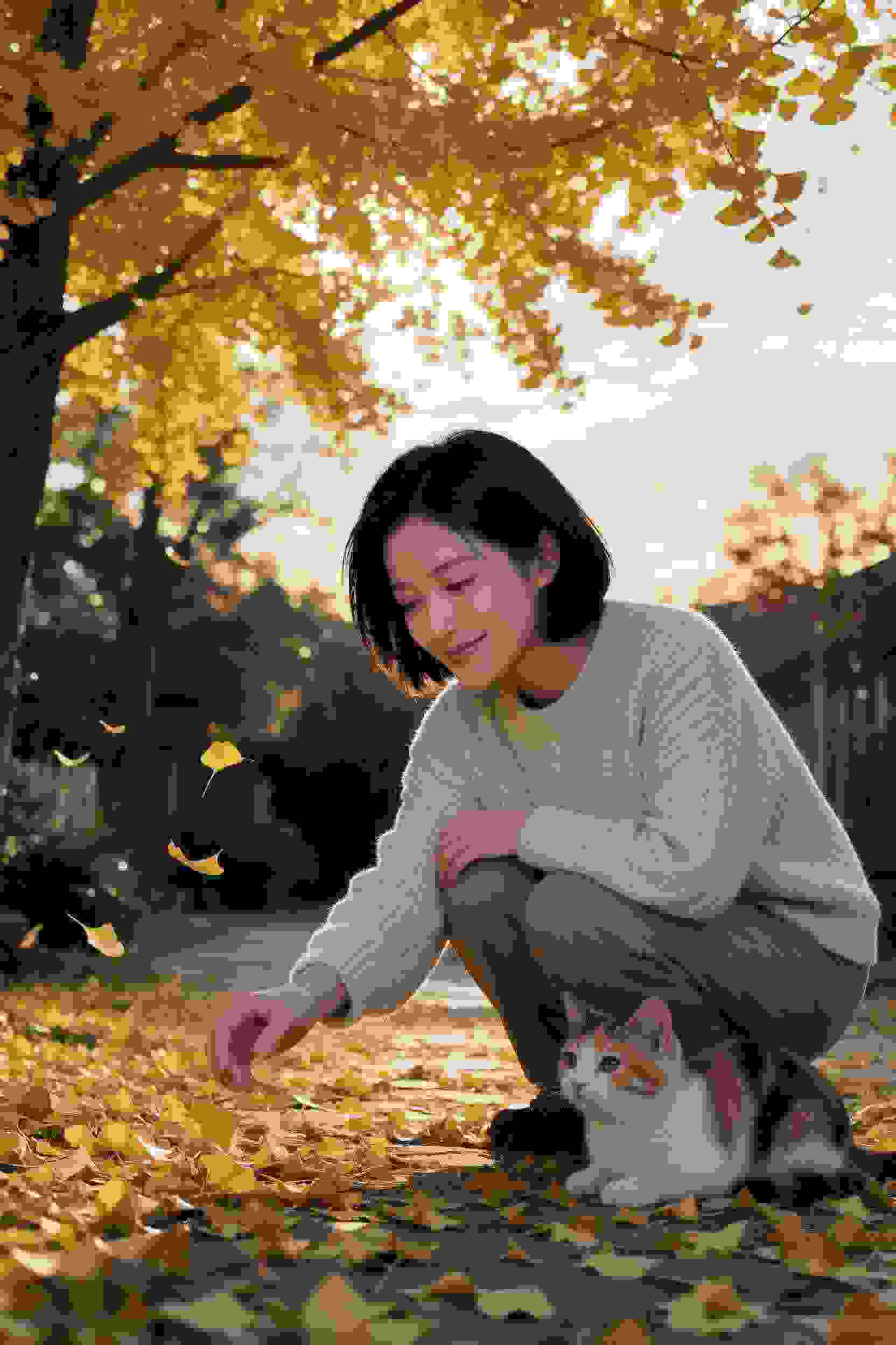 高分经典